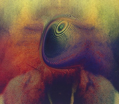 The image depicts a CD with a rainbow-colored, distorted reflection. Alt text: "Rainbow-colored CD with distorted reflection."