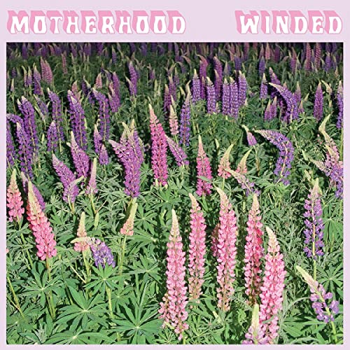 CD cover with a field of purple and pink lupine flowers.