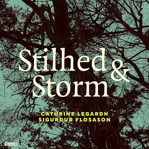 CD cover with teal text "Stilhed & Storm" over tree branches.