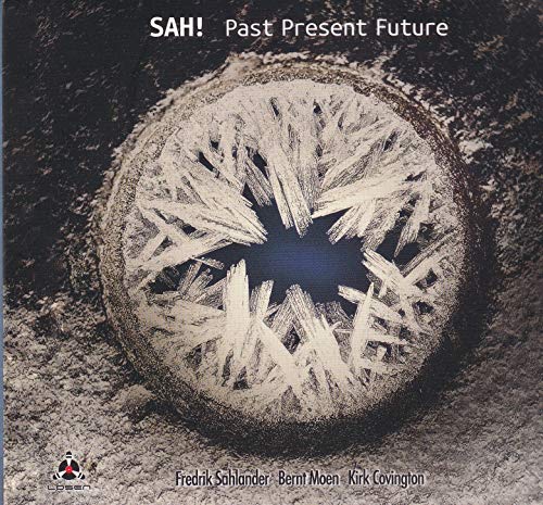 CD cover: abstract, icy crystal formation on a dark, grainy surface.