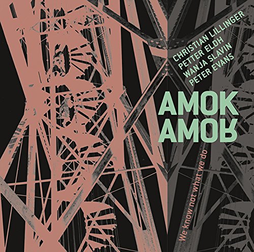 "Album cover with abstract metal structure, 'Amok Amor' title, and artist names on black background."