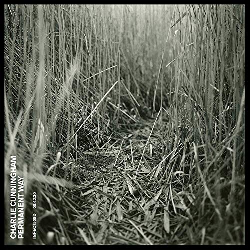 Black and white album cover featuring tall grass with artist and title text.
