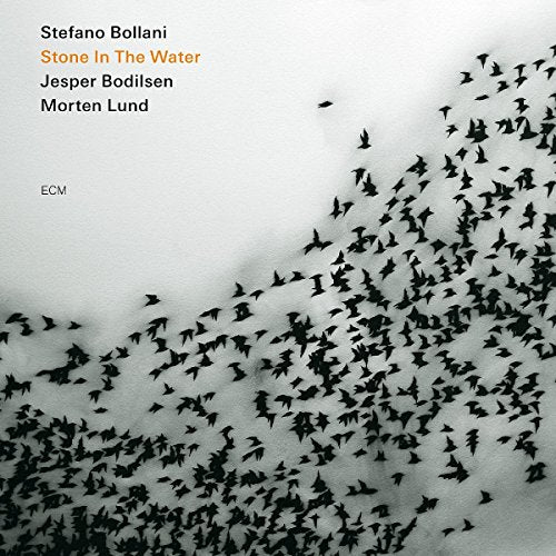 "Album cover with black birds flying against a white background, artist and title listed."