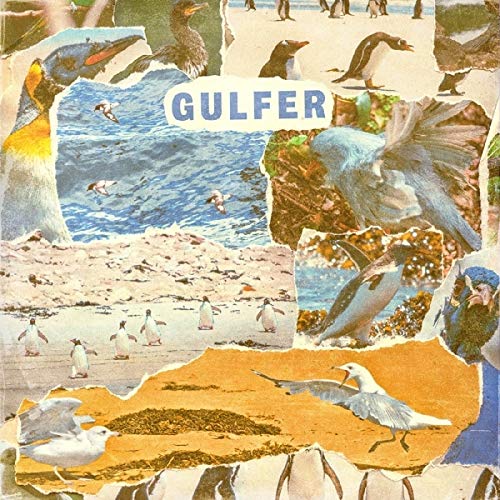 A collage of seagulls on a beach with the word "GULFER" in blue letters.