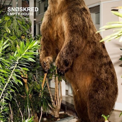 A large, brown bear hide hangs in a modern, indoor setting surrounded by plants.