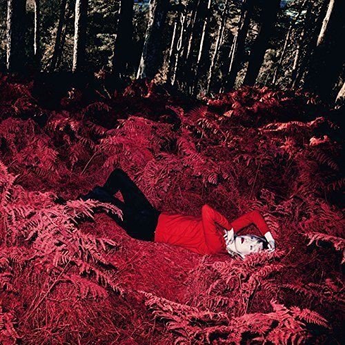 A person in a red jacket lies on red ferns in a forest.