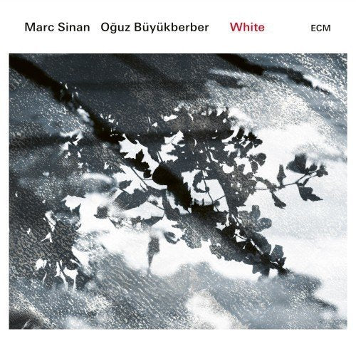 The alt text for the image is: "Album cover with black and white abstract design and plant shadows."