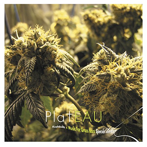 "Album cover featuring close-up of cannabis plants with text 'Plateau' and subtitle."