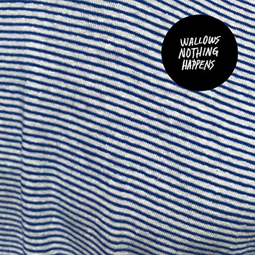 The vinyl record cover features blue and white stripes with a black circular logo.