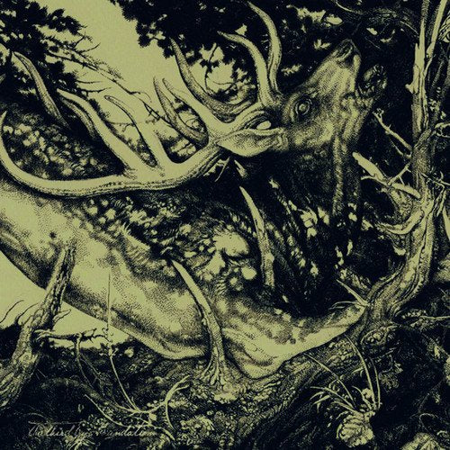 Detailed pen and ink drawing of a deer amongst tree branches.