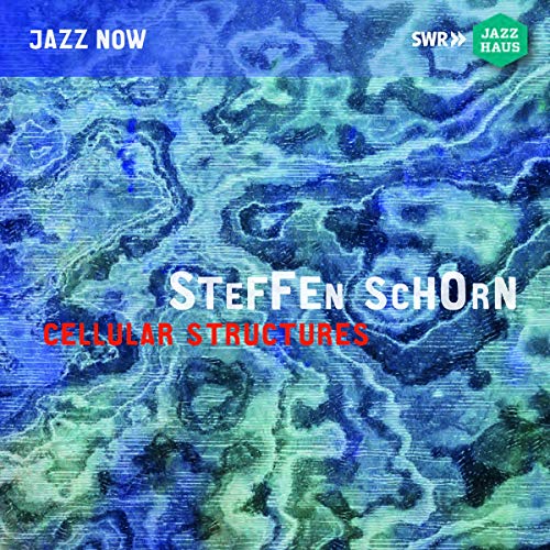 "Blue and green abstract album cover with 'Steffen Schorn Cellular Structures' text."