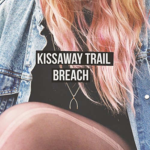 A woman with pink hair and denim jacket on an album cover.