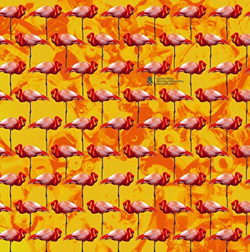 A vinyl record cover with a pattern of flamingos on a yellow and orange background.