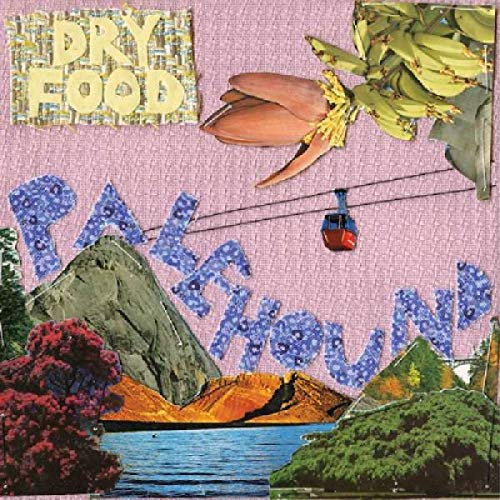 Palehound’s “Dry Food” vinyl cover: collage of landscapes, flowers, and text.
