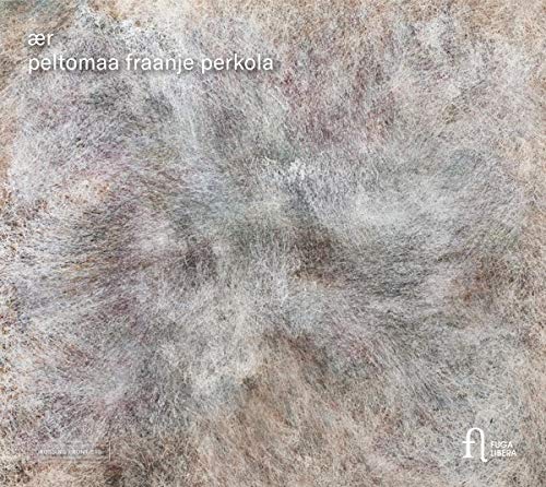 A CD cover featuring a blurry, abstract, grey and beige textured background with white text.