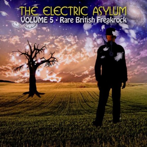 CD cover: surreal landscape with silhouetted figure and text “The Electric Asylum Vol 5”.