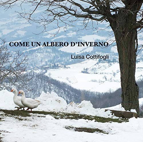 CD cover with winter landscape, tree branches, and geese in snow.
