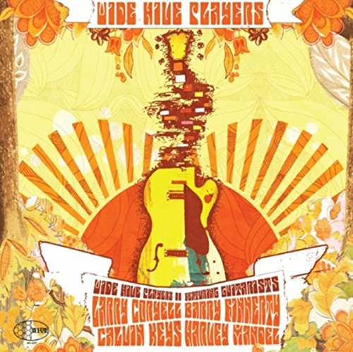 "Album cover featuring a distorted guitar and orange floral patterns on a yellow background."