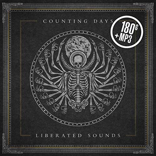 Vinyl record cover with ornate skeletal design and text "Liberated Sounds".