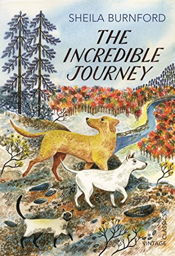 "The Incredible Journey" book cover featuring an illustration of three dogs in a forest.