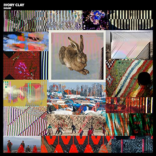 Album cover for "Doubt" with collage of abstract and animal imagery.