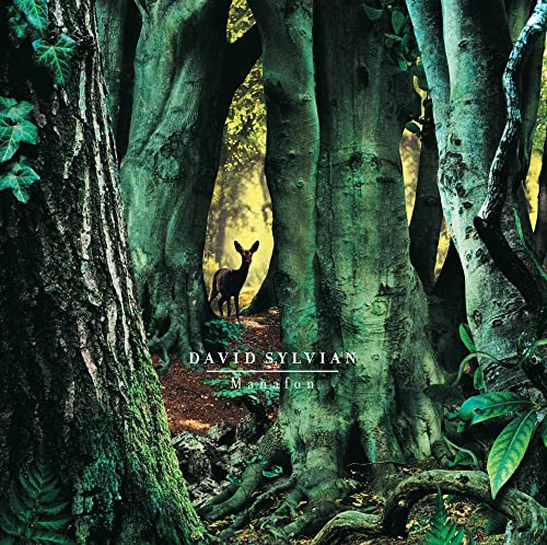 Album cover: forest scene with deer, text “David Sylvian – Manafon”.