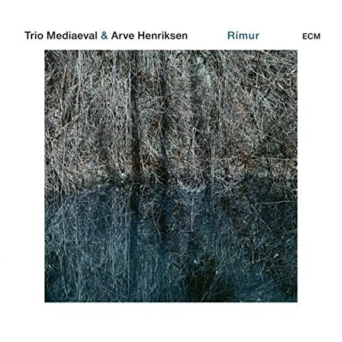 Album cover featuring a dark, abstract image of tangled twigs and grasses on a white background.