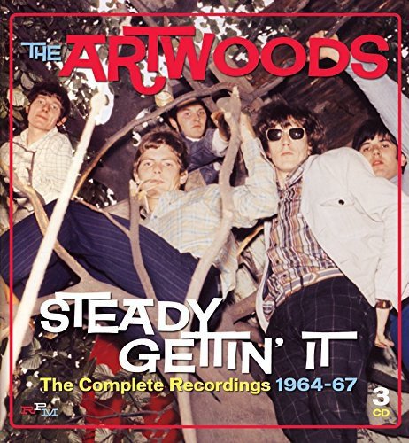 "CD cover with five men swinging on swings, 'The Artwoods' in red at top."