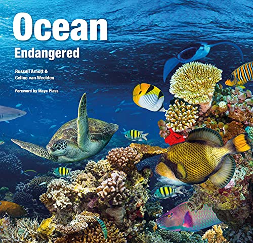 Ocean Endangered (Abandoned Places)