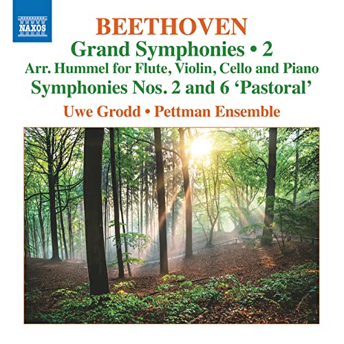 CD cover for Beethoven’s Grand Symphonies, Vol. 2 with a forest scene.