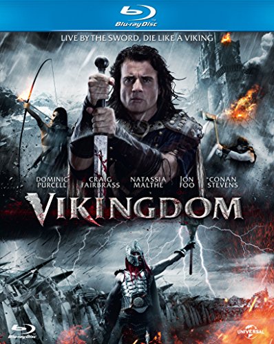 Vikingdom Blu-ray cover featuring a warrior with a sword, stormy background.