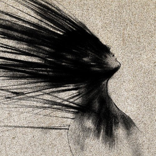 A charcoal drawing of a woman's head with flowing hair on a textured background.