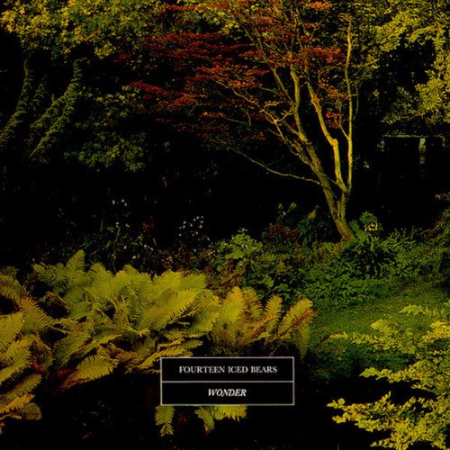 "Album cover with a dark forest scene and a black text box with white text."
