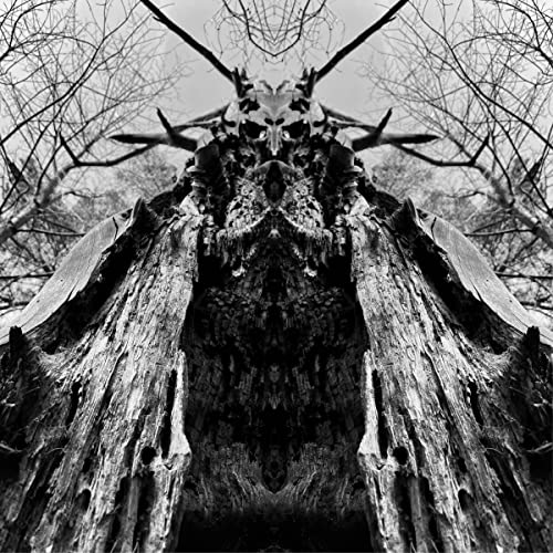 Black and white album cover featuring a symmetrical, skeletal tree-like figure.