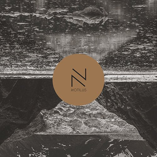 Vinyl record cover with a brown circle and abstract grayscale imagery.