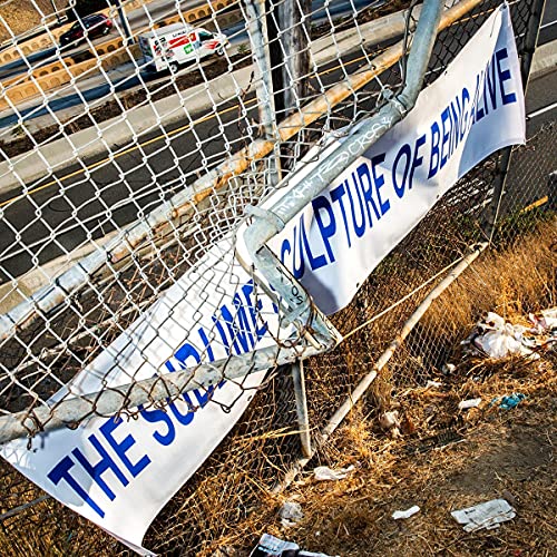 Torn banner reading "The Sublime Sculpture Of Being Alive" hangs on a fence.