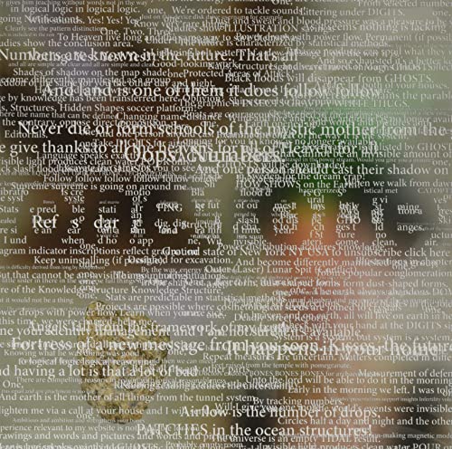 Vinyl record cover with text collage and a central lotus flower image.