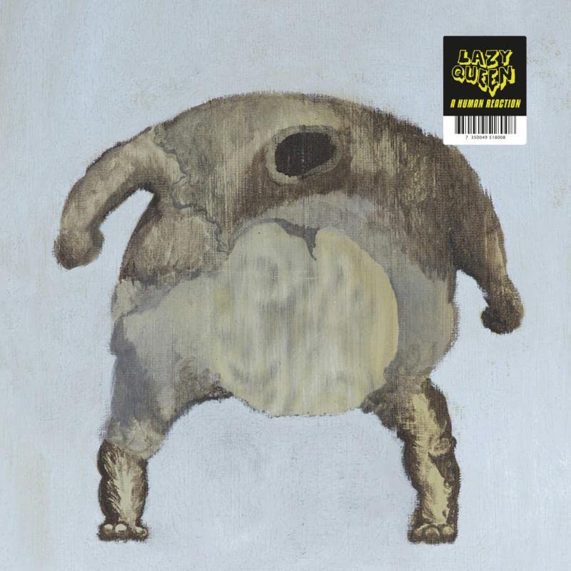 CD cover with a painted illustration of an armadillo shape.