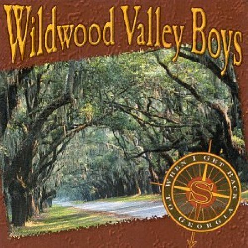 "Album cover with forest scene, compass, and 'Wildwood Valley Boys' text on brown background."
