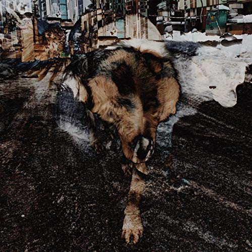 "Vinyl album cover featuring a distorted image of a dog walking on a road."