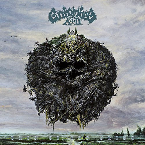 "Album cover with a dark, twisted skull surrounded by birds against a cloudy sky."