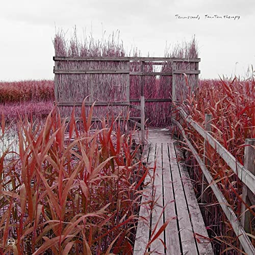 CD cover: wooden structure in reddish-purple reeds under a gray sky.