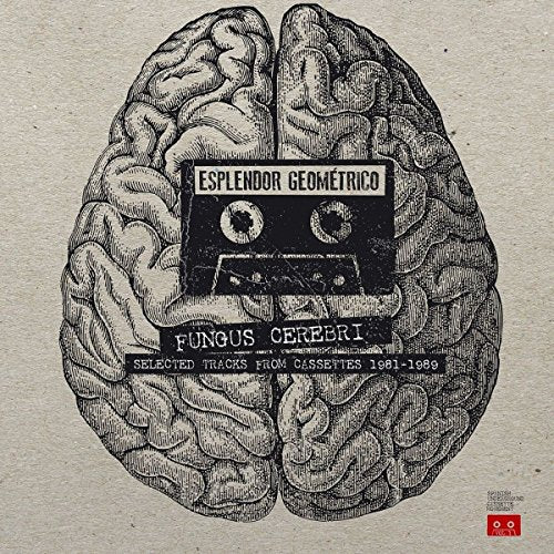 Album cover with a brain illustration and cassette tape, titled "Fungus Cerebri".