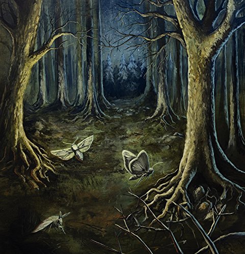 "Dark forest scene with glowing moths and twisted trees under a starry night sky."