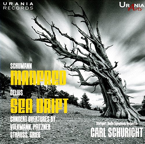 "CD cover featuring a misty forest with white and yellow text overlay."
