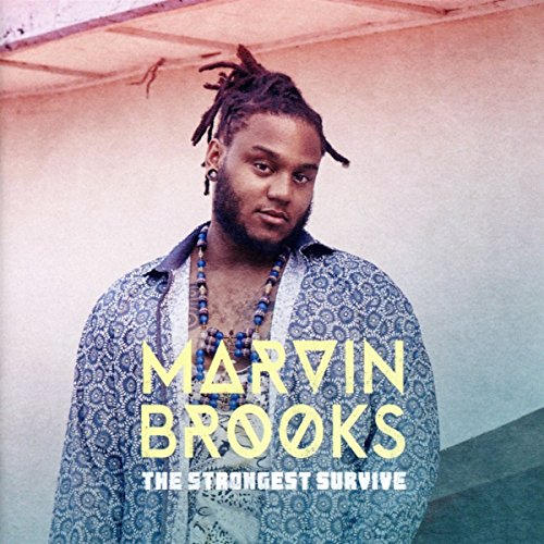 Marvin Brooks with dreadlocks wearing a patterned shirt and beaded necklace against a wall.