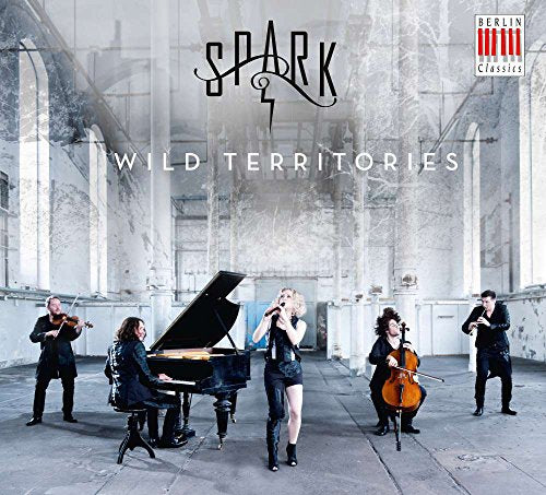 "CD cover featuring five musicians performing in a ruined white building."