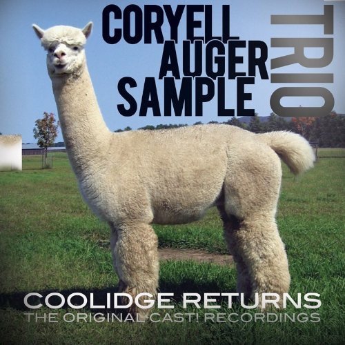 Album cover with llama standing in a field, cloudy blue sky in the background.