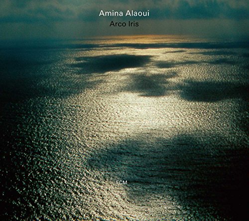 Aerial view of a dark, shimmering sea under a cloudy sky at sunset.