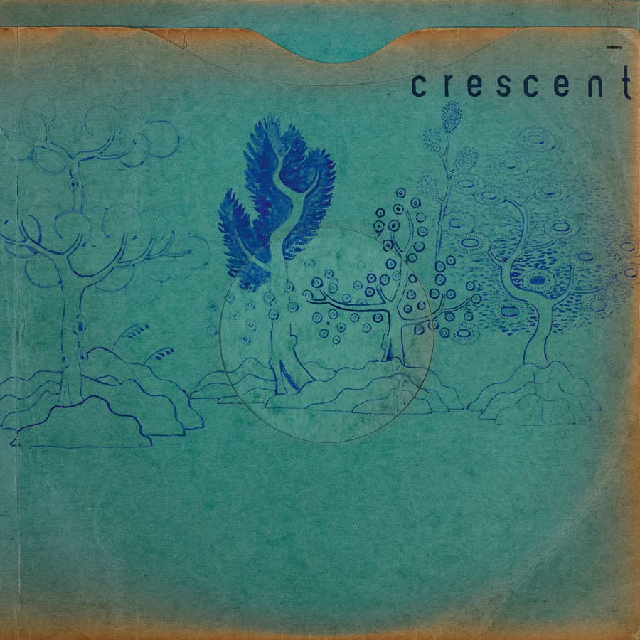 Blue vinyl record cover with abstract tree and bird illustration.